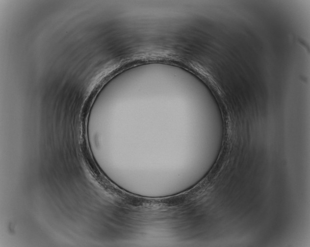 X0000103490582200809120952