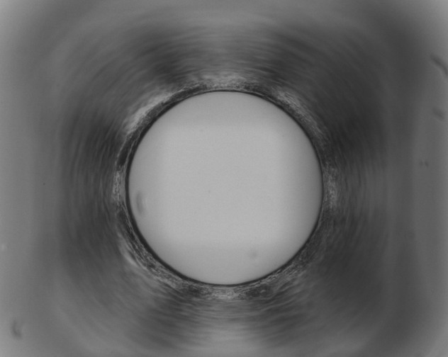 X0000103490583200809120952