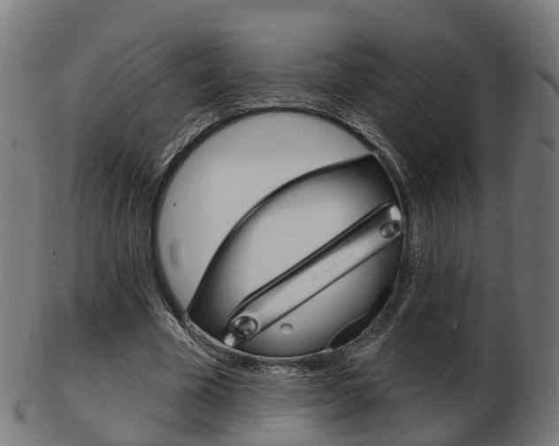 X0000103490585200809120952
