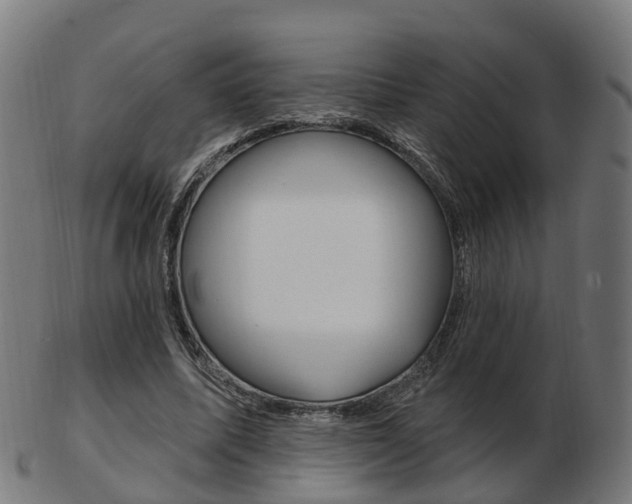 X0000103490587200809120952