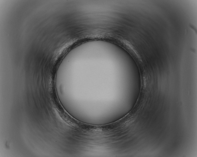 X0000103490588200809120952