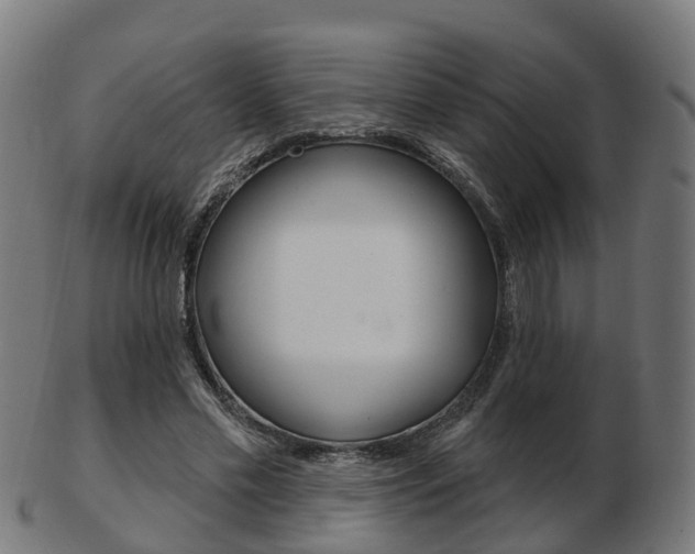 X0000103490589200809120952