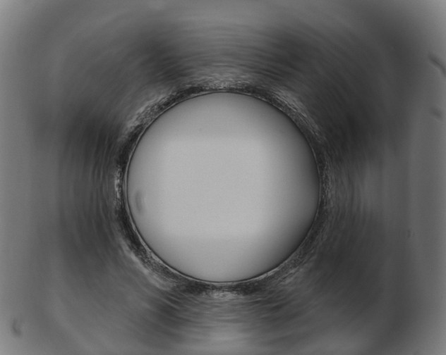 X0000103490590200809120952