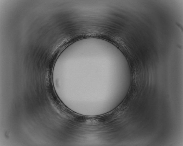 X0000103490591200809120952