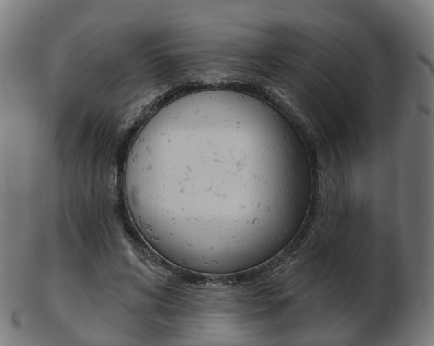 X0000103490592200809120952