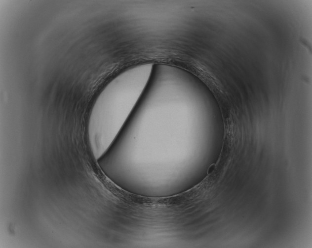 X0000103490593200809120952