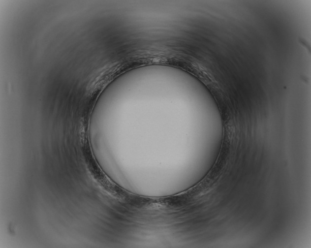 X0000103490594200809120952