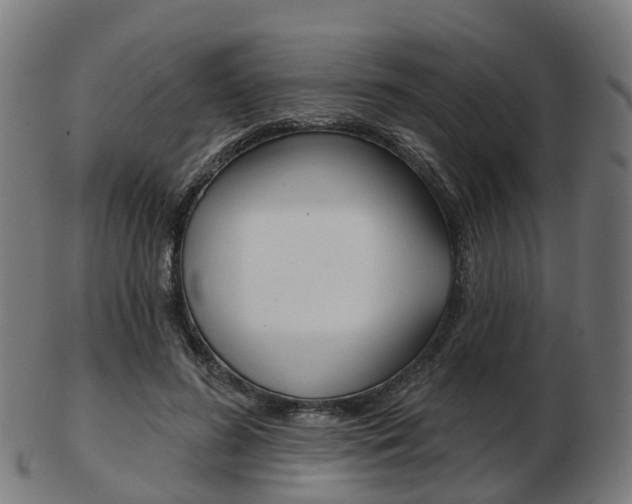 X0000103490596200809120952