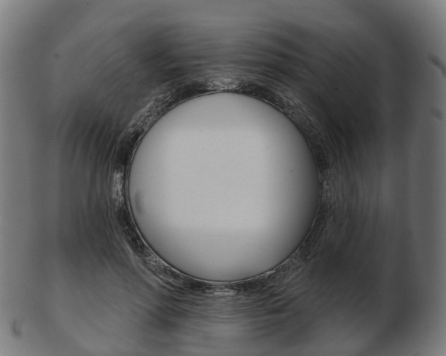 X0000103490598200809120952