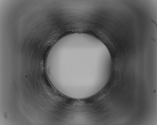 X0000103490599200809120952