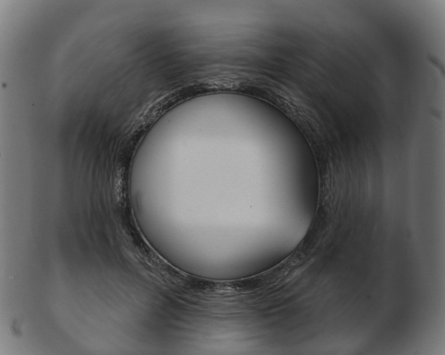 X0000103490600200809120952