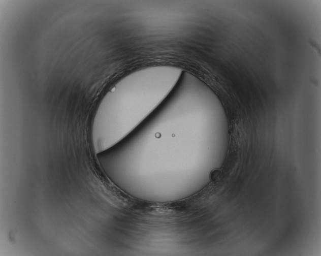 X0000103490601200809120952