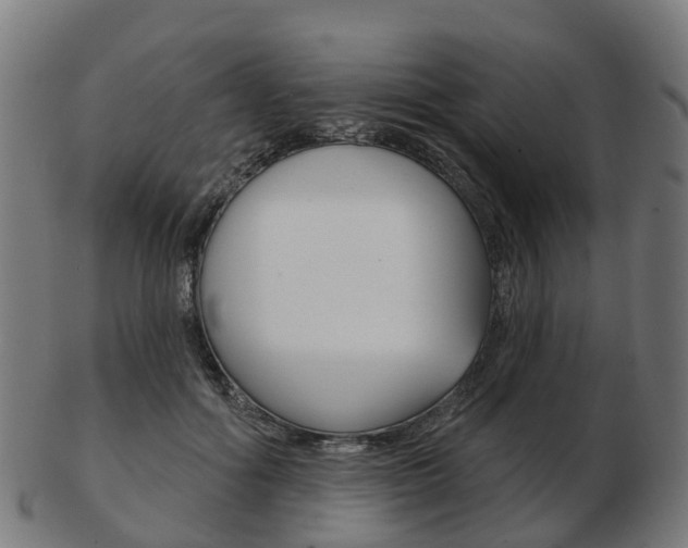 X0000103490602200809120952