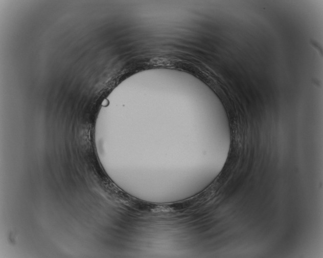 X0000103490603200809120952