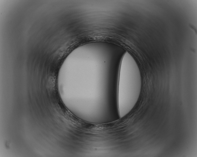 X0000103490604200809120952