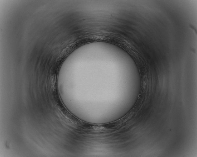 X0000103490605200809120952