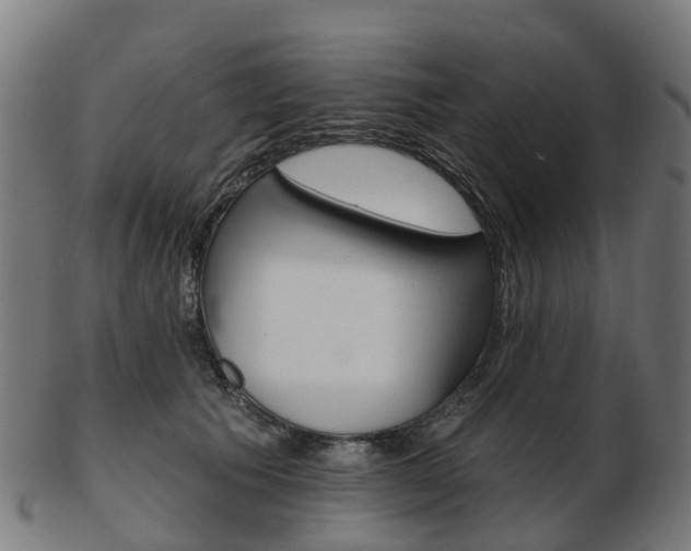 X0000103490609200809120952