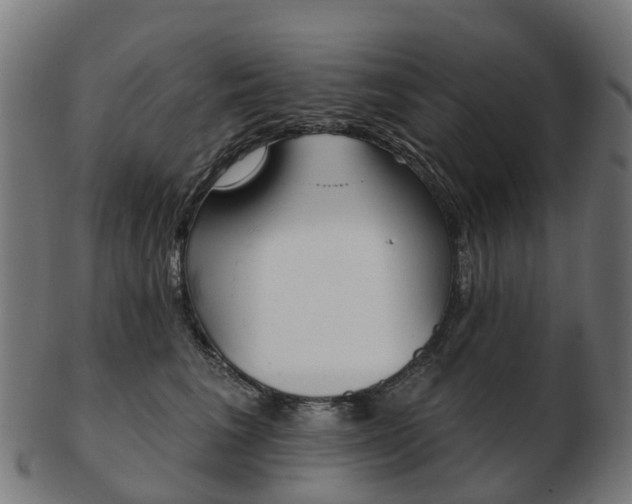 X0000103490613200809120952