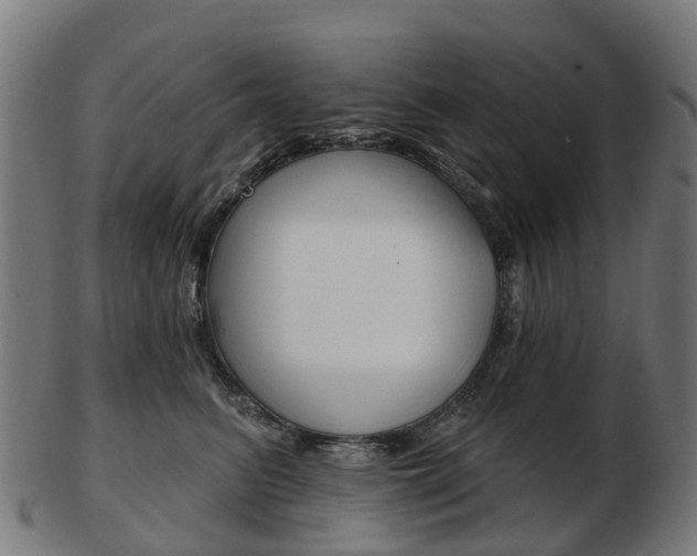 X0000103490615200809120951