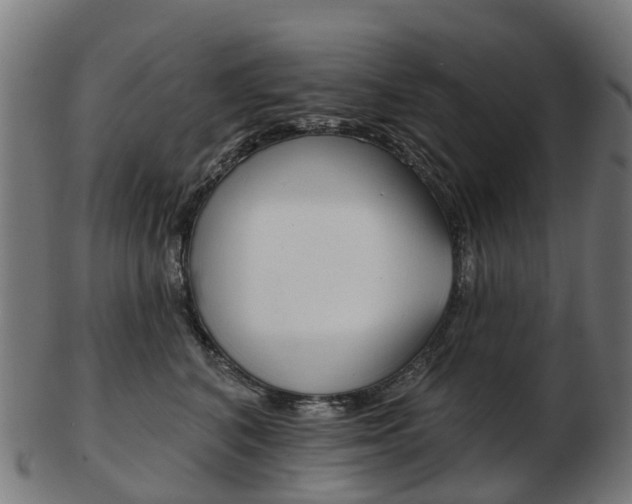 X0000103490616200809120951