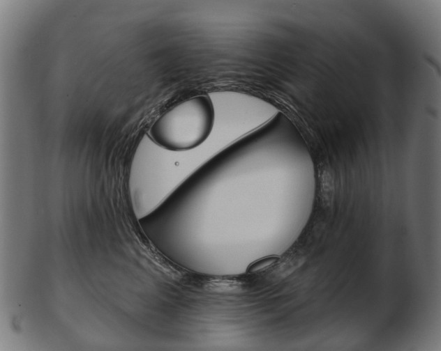 X0000103490617200809120951