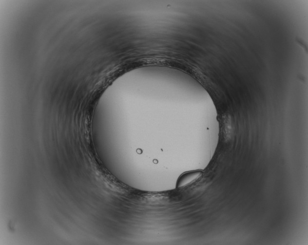 X0000103490619200809120951