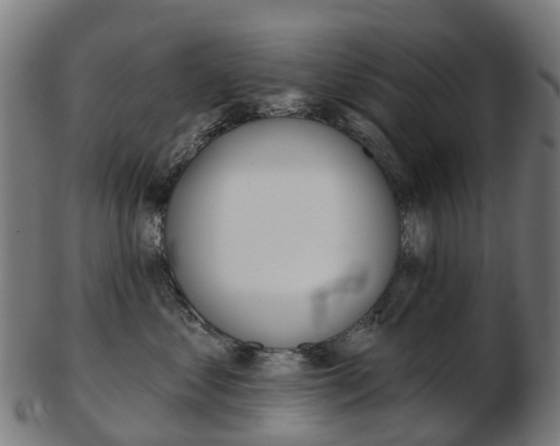 X0000103490621200809120951