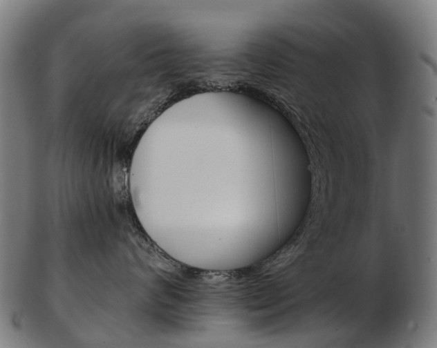 X0000103490624200809120951