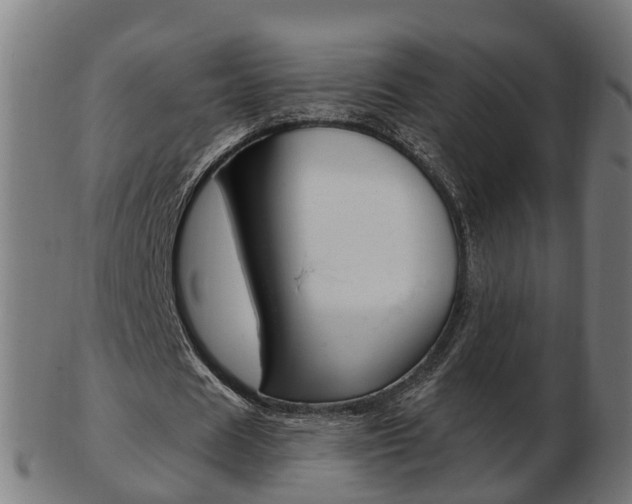X0000103490625200809120951