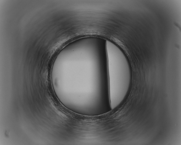 X0000103490627200809120951