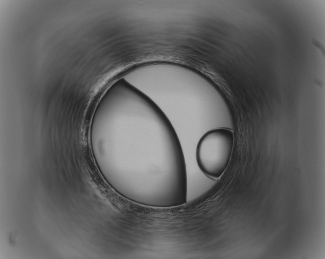 X0000103490628200809120951