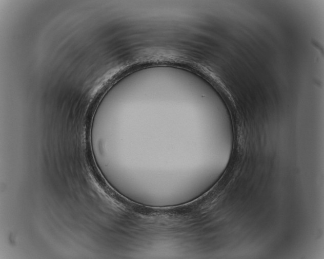 X0000103490629200809120951