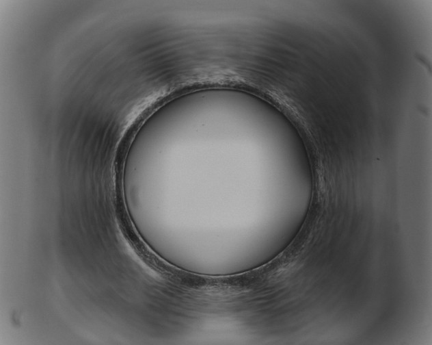 X0000103490630200809120951