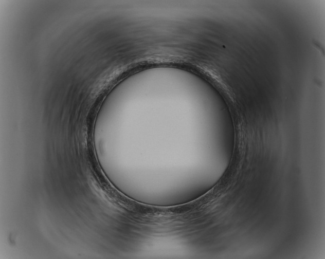 X0000103490631200809120951