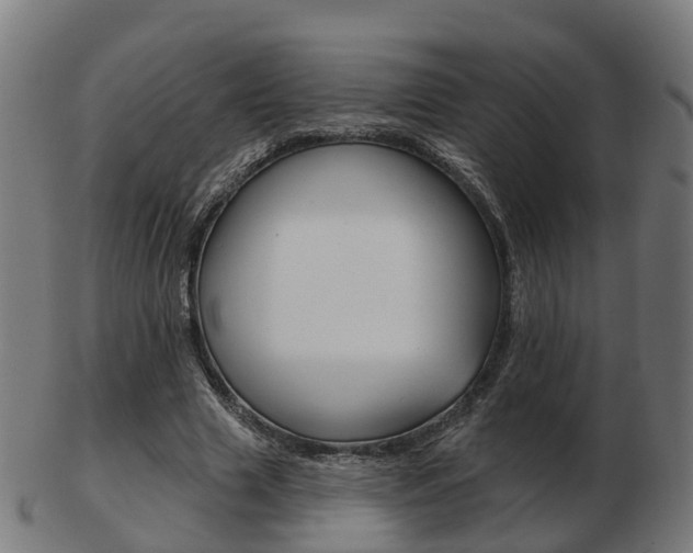 X0000103490633200809120951