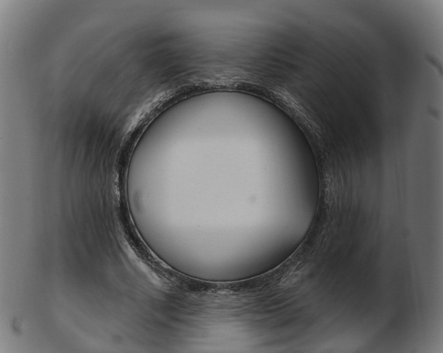 X0000103490634200809120951