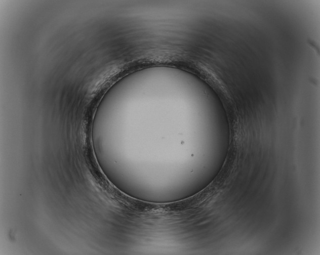 X0000103490635200809120951