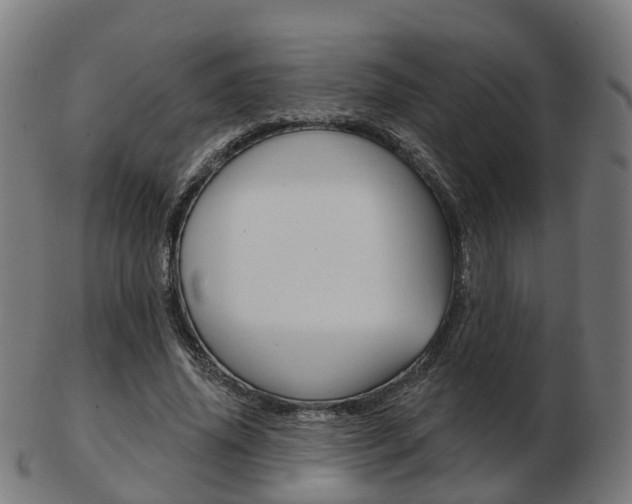 X0000103490636200809120951