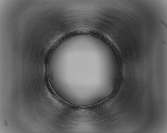 X0000103490637200809120951