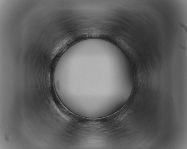 X0000103490638200809120951