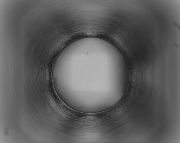 X0000103490639200809120951