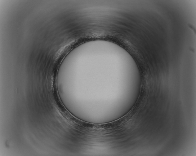 X0000103490640200809120951