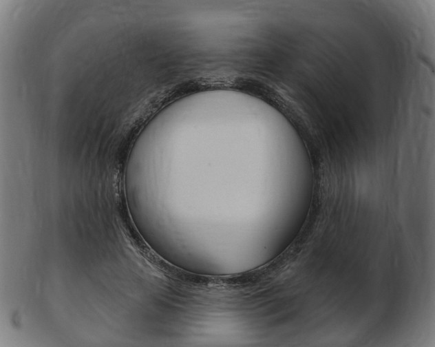 X0000103490641200809120951