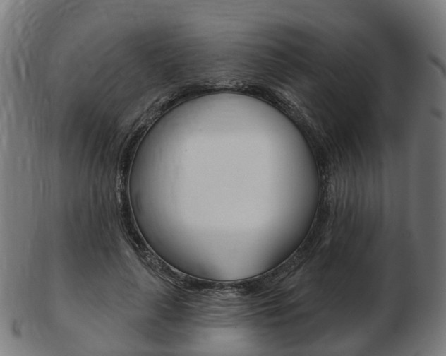 X0000103490643200809120951
