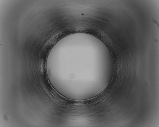 X0000103490644200809120951