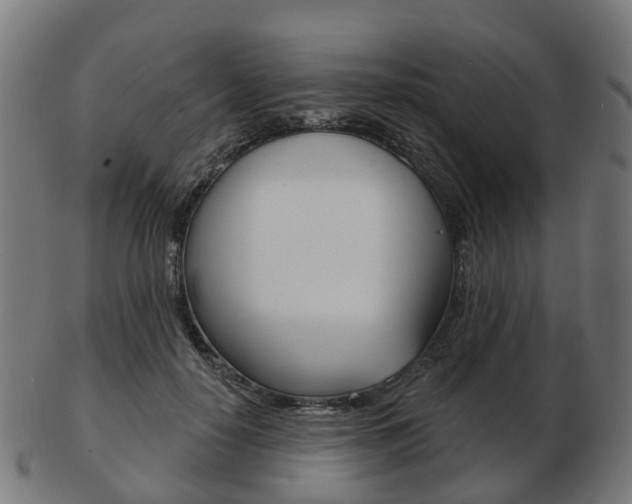 X0000103490650200809120951