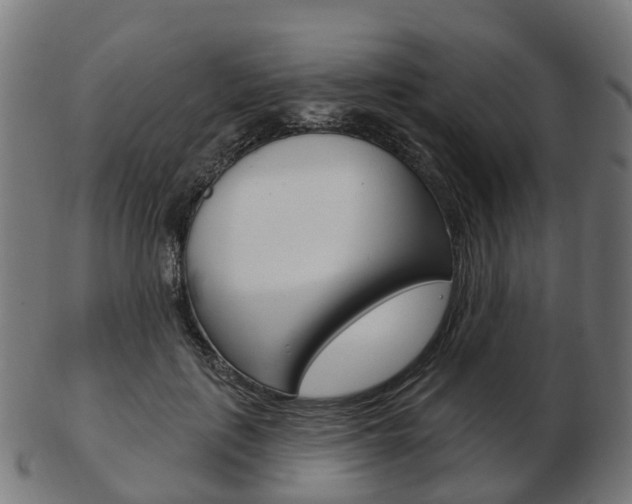 X0000103490651200809120951