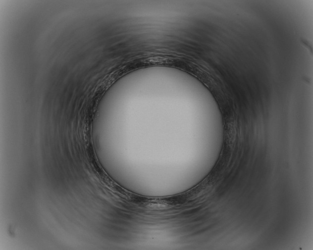 X0000103490653200809120951