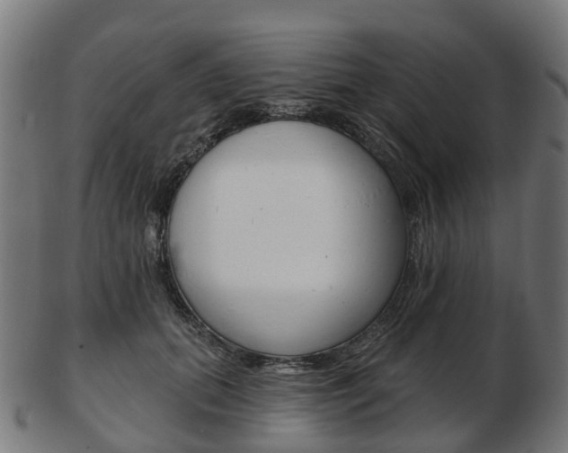 X0000103490655200809120951
