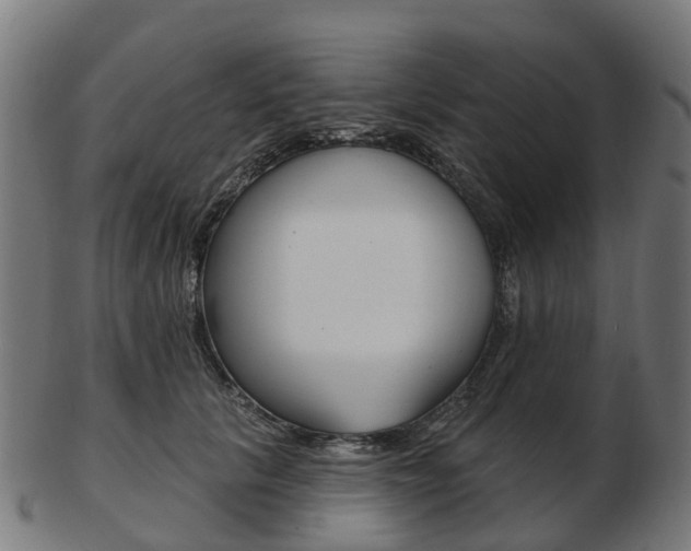 X0000103490657200809120951